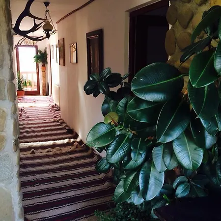Perla Maramuresului Guest house